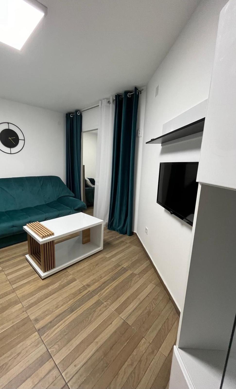 Apartment Vasic *