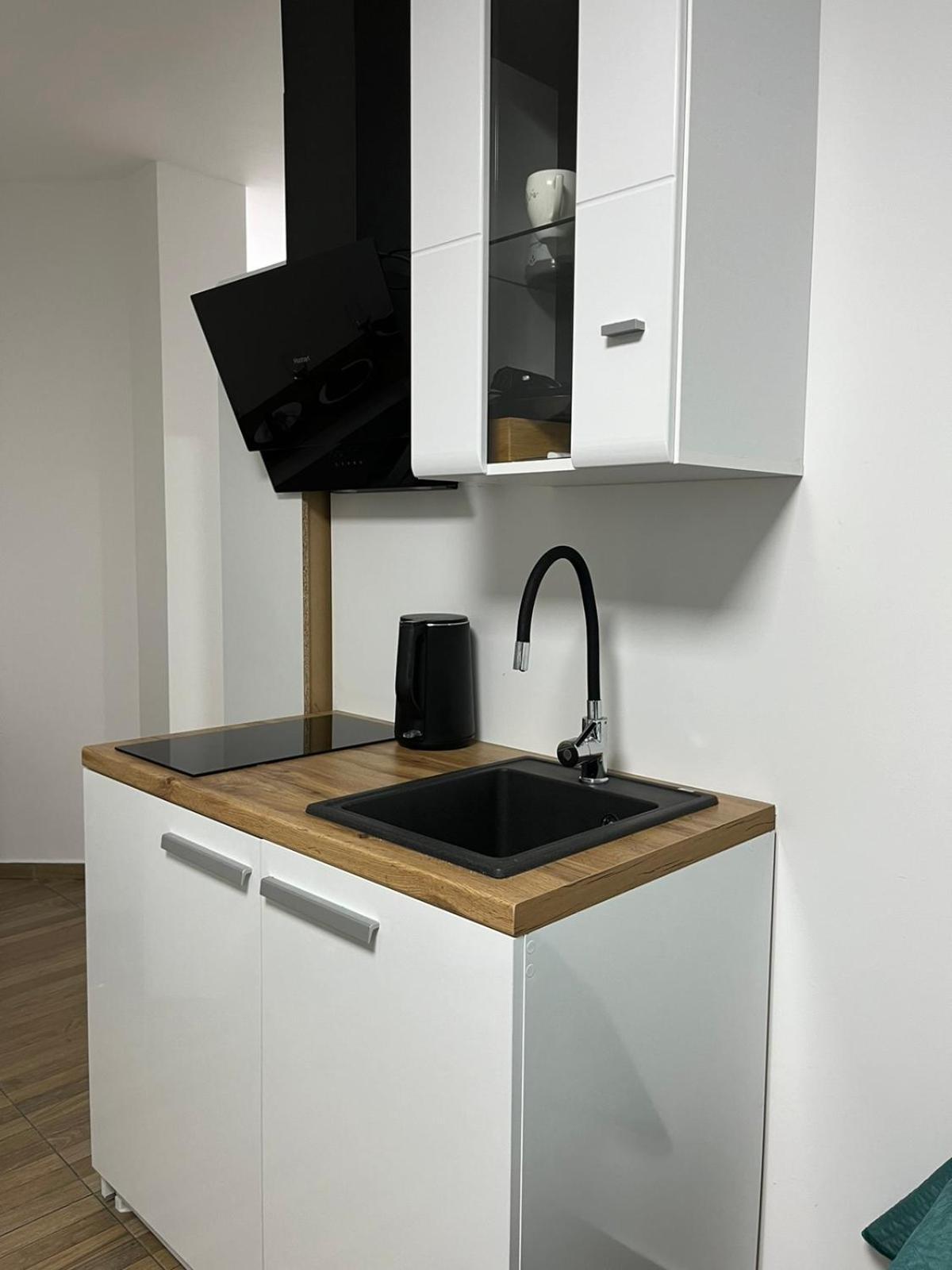 Vasic Apartment Budva